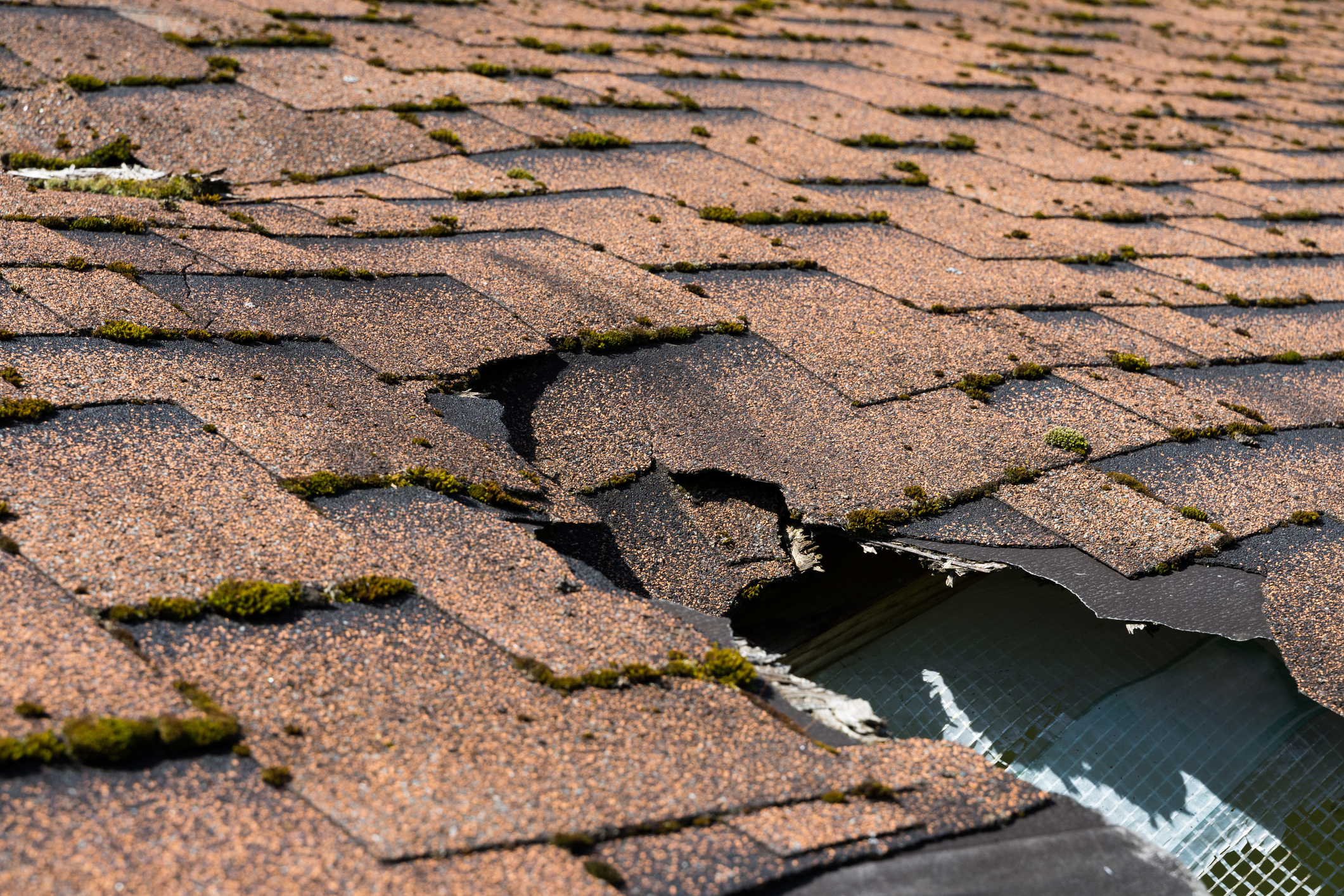 Close up view of asphalt shingles roof damage that needs repair.